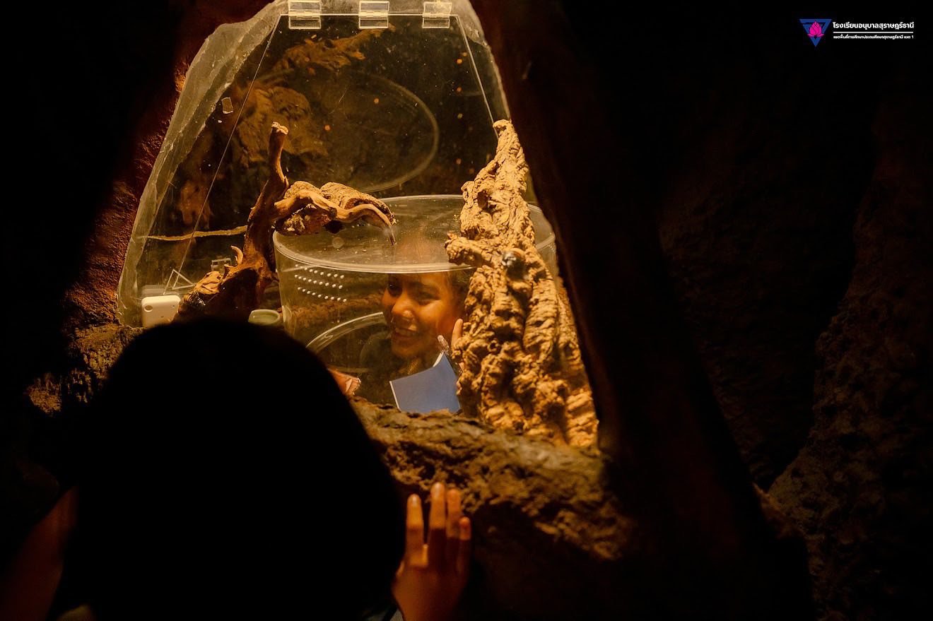 <div style='text-align:center;'><a href='img/article/art_1766458197/image/g/695d03bab61a2e4ac8f23367f69232d11_347894062.jpg' target='_blank' style='color:#FFF !important;' download><b>ดาวน์โหลดรูปภาพ</b> <span style='font-size:12px;'>(1,320 x 879 px)</span></a></div>