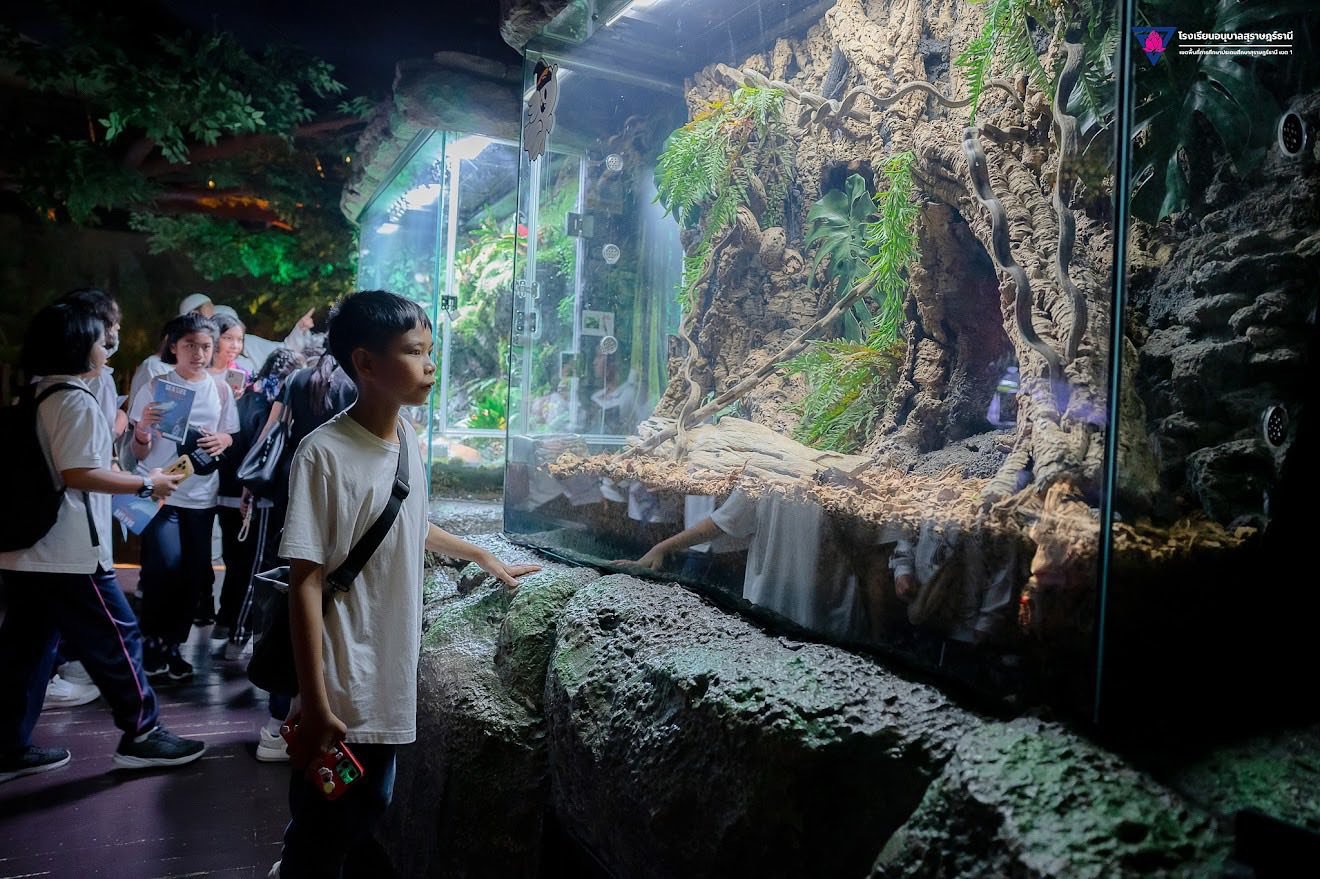 <div style='text-align:center;'><a href='img/article/art_1766458197/image/g/e704136c1d7f25398e5fd31987266a131_681106864.jpg' target='_blank' style='color:#FFF !important;' download><b>ดาวน์โหลดรูปภาพ</b> <span style='font-size:12px;'>(1,320 x 879 px)</span></a></div>