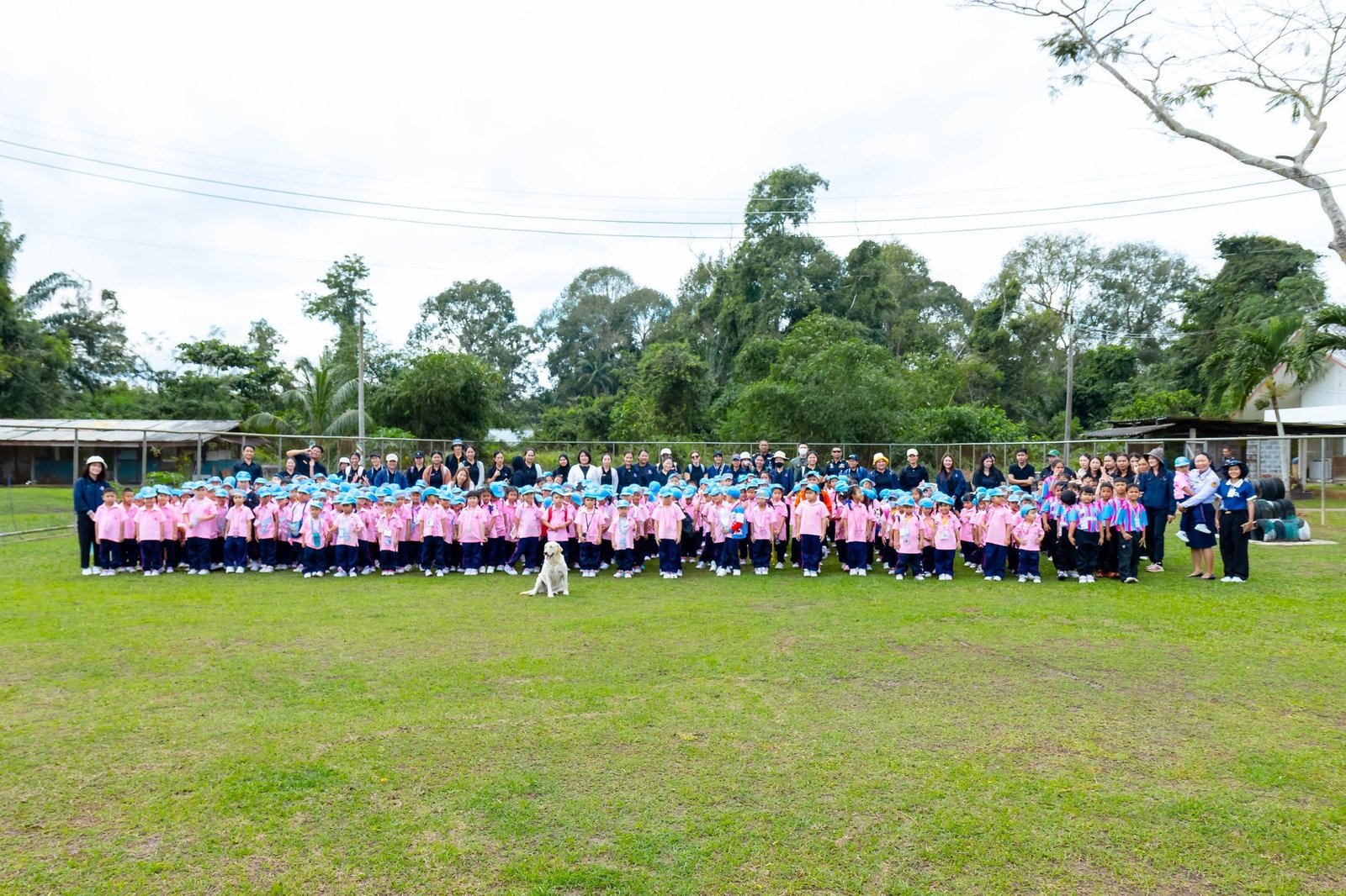 <div style='text-align:center;'><a href='img/article/art_1766989194/image/g/caba026cb477414937e869cd2ccc75af1_3160218947.jpg' target='_blank' style='color:#FFF !important;' download><b>ดาวน์โหลดรูปภาพ</b> <span style='font-size:12px;'>(2,048 x 1,365 px)</span></a></div>